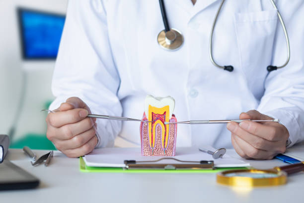 Best Pediatric Emergency Dentist in Auburn, IL